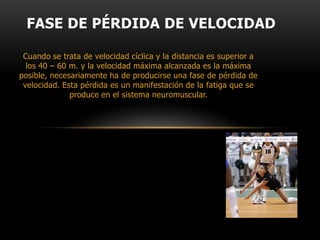 FASE DE MÁXIMA ACELERACIÓNUna vez terminada la fase de aceleración, se alcanza la velocidad máxima, la cuál se puede mantener durante muy poco tiempo. Depende de que los movimientos sean acíclicos o cíclicos y de que la velocidad máxima sea la máxima posible o una submáxima sostenida.
