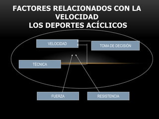 FACTORES RELACIONADOS CON LA VELOCIDAD LOS DEPORTES ACÍCLICOS VELOCIDADTOMA DE DECISIÓNTÉCNICARESISTENCIAFUERZA
