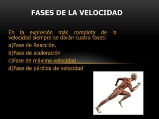 La velocidad en el ámbito deportivo se expresa por la relación entre el espacio y el tiempo. Cuando se habla de velocidad se suele circunscribir el concepto a las distancias cortas de algunas pruebas o especialidades deportivas, aunque la mayoría de las pruebas de resistencia se miden por la velocidad a la que se recorre una distancia.