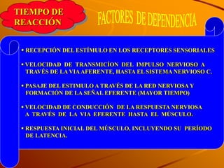 TIEMPO DE
REACCIÓN


  RECEPCIÓN DEL ESTÍMULO EN LOS RECEPTORES SENSORIALES

  VELOCIDAD DE TRANSMICÍON DEL IMPULSO NERVIOSO A
   TRAVÉS DE LA VIA AFERENTE, HASTA EL SISTEMA NERVIOSO C.

  PASAJE DEL ESTIMULO A TRAVÉS DE LA RED NERVIOSA Y
   FORMACIÓN DE LA SEÑAL EFERENTE (MAYOR TIEMPO)

  VELOCIDAD DE CONDUCCIÓN DE LA RESPUESTA NERVIOSA
   A TRAVÉS DE LA VIA EFERENTE HASTA EL MÚSCULO.

  RESPUESTA INICIAL DEL MÚSCULO, INCLUYENDO SU PERÍODO
   DE LATENCIA.
 