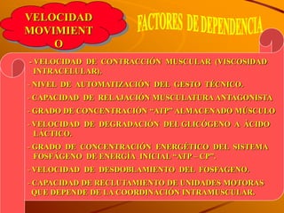 VELOCIDAD
MOVIMIENT
    O
- VELOCIDAD DE CONTRACCIÓN MUSCULAR (VISCOSIDAD
  INTRACELULAR).
- NIVEL DE AUTOMATIZACIÓN DEL GESTO TÉCNICO.
- CAPACIDAD DE RELAJACIÓN MUSCULATURA ANTAGONISTA
- GRADO DE CONCENTRACIÓN “ATP” ALMACENADO MÚSCULO
- VELOCIDAD DE DEGRADACIÓN DEL GLICÓGENO A ÁCIDO
  LÁCTICO.
- GRADO DE CONCENTRACIÓN ENERGÉTICO DEL SISTEMA
  FOSFÁGENO DE ENERGÍA INICIAL “ATP – CP”.
- VELOCIDAD DE DESDOBLAMIENTO DEL FOSFAGENO.
- CAPACIDAD DE RECLUTAMIENTO DE UNIDADES MOTORAS
  QUE DEPENDE DE LA COORDINACIÓN INTRAMUSCULAR.
 