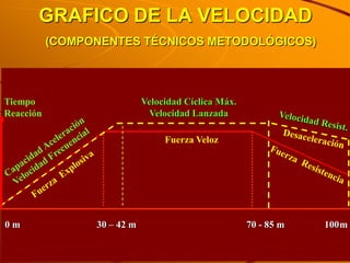 GRAFICO DE LA VELOCIDAD
           (COMPONENTES TÉCNICOS METODOLÓGICOS)




Tiempo                       Velocidad Cíclica Máx.
Reacción                      Velocidad Lanzada

                                  Fuerza Veloz




0m               30 – 42 m                            70 - 85 m   100m
 