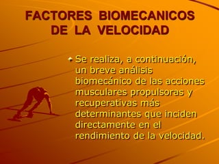 FACTORES BIOMECANICOS
   DE LA VELOCIDAD

      Se realiza, a continuación,
      un breve análisis
      biomecánico de las acciones
      musculares propulsoras y
      recuperativas más
      determinantes que inciden
      directamente en el
      rendimiento de la velocidad.
 