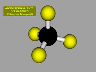 ÁTOMO TETRAVALENTE:
     DEL CARBONO
 (Estructura Tetragonal)
 