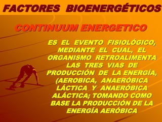 FACTORES BIOENERGÉTICOS
 CONTINUUM ENERGETICO
      ES EL EVENTO FISIOLÓGICO,
         MEDIANTE EL CUAL, EL
      ORGANISMO RETROALIMENTA
           LAS TRES VIAS DE
      PRODUCCIÓN DE LA ENERGÍA,
        (AEROBICA, ANAERÓBICA
        LÁCTICA Y ANAERÓBICA
       ALÁCTICA; TOMANDO COMO
       BASE LA PRODUCCIÓN DE LA
           ENERGÍA AERÓBICA
 