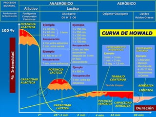 PROCESOS
                                              ANAERÓBICO                                                    AERÓBICO
 BIOENERG.
                       Aláctico                      Láctico
 Productos de         Fosfágenos                          Glucógeno                         Oxígeno+Glucógeno            Lípidos
la Contracción        Compuestos                          C6 H12 O6                                                   Ácidos Grasos
                       Fosfóricos

                      POTENCIA           Ejemplo:                   Ejemplo:
                      ALÁCTICA
                                         3 x 30 mts.                1 x 150 mts.
100 %                                    3 x 40 mts.
                                         3 x 50 mts.
                                                         3 Series   1 x 200 mts.
                                                                    1 x 250 mts.
                                                                                           CURVA DE HOWALD
                                         Recuperación:              1 x 200 mts.
                                                                    1 x 150 mts.
                                         2 min. entre esfuerzos
                                         5 min. entre series        Recuperación:
                                                                                                  ENTRENAMIENTO        ENTRENAMIEN.
                                                                    2 min. en fase                 INTERVÁLICO.
                                         Ejemplo:                                                                      CONTINUO
       % Intensidad




                                                                    ascendente                  Ejemplo:
                                         6 x 150 m en 17‟           después de 5 min.                                  Ejemplo:
                                                                                                3 min. + 3 min.
                                         Recuperación:              en fase                                            - ½ Maratón
                                                                                                1 min. + 2 min.
                                                                    descendente                                        - Maratón
                                         7 min. entre esfuerzos                                 15 seg. + 1,5 min.
                                                                    Ejemplo:                                           - Marchas de:
                                             POTENCIA                                                                    4 - 6 -10 Hrs.
                                              LÁCTICA               6 x 500 m                                          - Ascensiones
                                                                    Recuperación:                     TRABAJO             a Cerros.
                      CAPACIDAD                                     5 min. entre los                 CONTÍNUO
                      ALÁCTICA                                      esfuerzos
                                                                                                 Test de Cooper          AERÓBICA
                                                                                                                         LIPÍDICA



                                                                                         POTENCIA
                                                                                         AERÓBICA CAPACIDAD
                                                  CAPACIDAD                                                AERÓBICA
                                                   LÁCTICA                                                             Duración
                                    7”            45”-1 min             2 min           4 min        12 min           30 min
 
