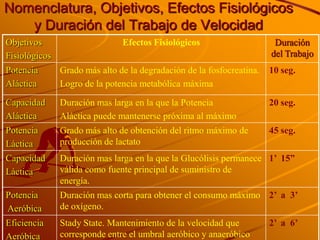 Nomenclatura, Objetivos, Efectos Fisiológicos
   y Duración del Trabajo de Velocidad
Objetivos                      Efectos Fisiológicos                     Duración
Fisiológicos                                                           del Trabajo
Potencia       Grado más alto de la degradación de la fosfocreatina.   10 seg.
Aláctica       Logro de la potencia metabólica máxima

Capacidad      Duración mas larga en la que la Potencia                20 seg.
Aláctica       Aláctica puede mantenerse próxima al máximo
Potencia       Grado más alto de obtención del ritmo máximo de         45 seg.
Láctica        producción de lactato
Capacidad      Duración mas larga en la que la Glucólisis permanece 1’ 15”
Láctica        válida como fuente principal de suministro de
               energía.
Potencia       Duración mas corta para obtener el consumo máximo 2’ a 3’
Aeróbica       de oxígeno.
Eficiencia     Stady State. Mantenimiento de la velocidad que          2’ a 6’
Aeróbica       corresponde entre el umbral aeróbico y anaeróbico
 