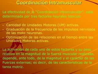 Coordinación Intramuscular
La efectividad de la “Coordinación intramuscular”, está
determinada por tres factores neurales básicos:

- Cantidad de Unidades Motoras (UM) activas.
- Graduación de la frecuencia de los impulsos nerviosos
  de las moto neuronas.
- Optimización de las relaciones en el tiempo entre las
  Unidades Motoras activas.

La activación de cada uno de estos factores y su peso
relativo en la magnitud de la fuerza muscular realizada,
depende, ante todo, de la magnitud y el carácter de las
Fuerzas externas; es decir, de las características de la
tarea motriz.
 