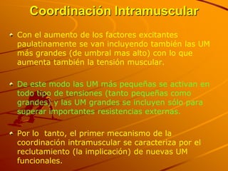 Coordinación Intramuscular
Con el aumento de los factores excitantes
paulatinamente se van incluyendo también las UM
más grandes (de umbral mas alto) con lo que
aumenta también la tensión muscular.

De este modo las UM más pequeñas se activan en
todo tipo de tensiones (tanto pequeñas como
grandes) y las UM grandes se incluyen sólo para
superar importantes resistencias externas.

Por lo tanto, el primer mecanismo de la
coordinación intramuscular se caracteriza por el
reclutamiento (la implicación) de nuevas UM
funcionales.
 