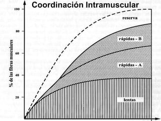 Coordinación Intramuscular
 