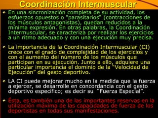 Coordinación Intermuscular
En una sincronización completa de su actividad, los
esfuerzos opuestos o "parasitarios“ (contracciones de
los músculos antagonistas), quedan reducidos a la
mínima expresión. En otras palabras, la Coordinación
Intermuscular, se caracteriza por realizar los ejercicios
a un ritmo adecuado y con una ejecución muy precisa.
La importancia de la Coordinación Intermuscular (CI)
crece con el grado de complejidad de los ejercicios y
con el aumento del número de los músculos que
participan en su ejecución. Junto a ello, adquiere una
particular importancia el dominio de la “Velocidad de
Ejecución” del gesto deportivo.
LA CI puede mejorar mucho en la medida que la fuerza
a ejercer, se desarrolle en concordancia con el gesto
deportivo específico; es decir su “Fuerza Especial”.
Ésta, es también una de las importantes reservas en la
utilización máxima de las capacidades de fuerza de los
deportistas en todas sus manifestaciones.
 