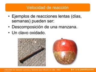 Ejemplos de reacciones lentas (días, semanas) pueden ser: Descomposición de una manzana. Un clavo oxidado. Velocidad de reacción 