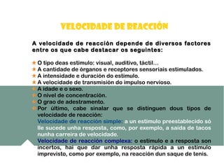 A velocidade de reacción depende de diversos factoresA velocidade de reacción depende de diversos factores
entre os que cabe destacar os seguintes:entre os que cabe destacar os seguintes:
O tipo deas estímulo: visual, auditivo, táctil…
A cantidade de órganos e receptores sensoriais estimulados.
A intensidade e duración do estímulo.
A velocidade de transmisión do impulso nervioso.
A idade e o sexo.
O nivel de concentración.
O grao de adestramento.
Por último, cabe sinalar que se distinguen dous tipos de
velocidade de reacción:
Velocidade de reacción simple: a un estímulo preestablecido só
lle sucede unha resposta, como, por exemplo, a saída de tacos
nunha carreira de velocidade.
Velocidade de reacción complexa: o estímulo e a resposta son
incertos, hai que dar unha resposta rápida a un estímulo
imprevisto, como por exemplo, na reacción dun saque de tenis.
VELOCIDADE DE REACCIÓN
 