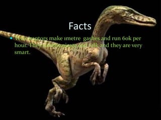 velociraptor accurate