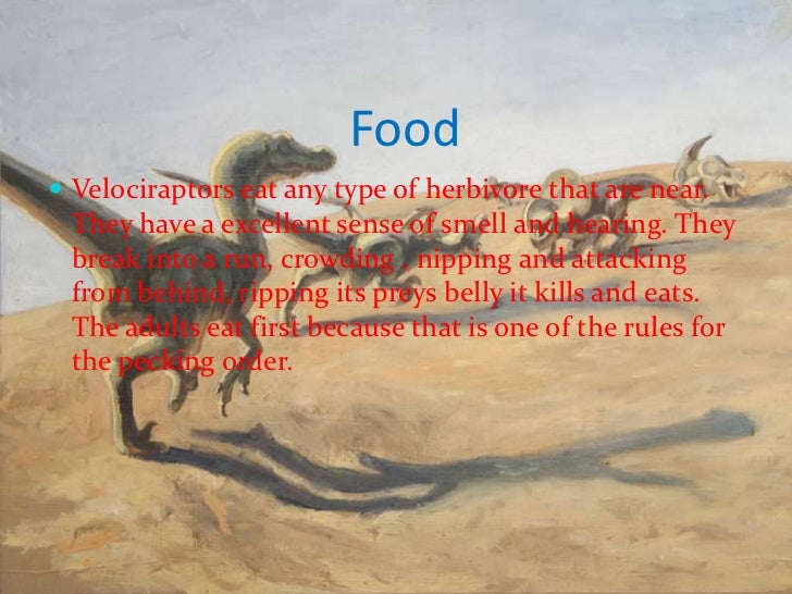 Velociraptors info report