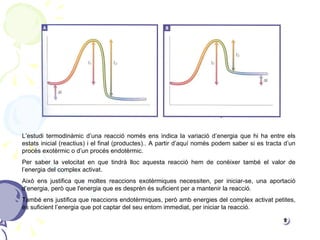L’estudi termodinàmic d’una reacció només ens indica la variació d’energia que hi ha entre els estats inicial (reactius) i el final (productes).. A partir d’aquí només podem saber si es tracta d’un procés exotèrmic o d’un procés endotèrmic. Per saber la velocitat en que tindrà lloc aquesta reacció hem de conèixer també el valor de l’energia del complex activat. Això ens justifica que moltes reaccions exotèrmiques necessiten, per iniciar-se, una aportació d’energia, però que l'energia que es desprèn és suficient per a mantenir la reacció. També ens justifica que reaccions endotèrmiques, però amb energies del complex activat petites, és suficient l’energia que pot captar del seu entorn immediat, per iniciar la reacció. 