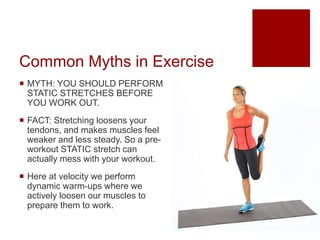 Common Myths in Exercise
 MYTH: YOU SHOULD PERFORM
STATIC STRETCHES BEFORE
YOU WORK OUT.
 FACT: Stretching loosens your
tendons, and makes muscles feel
weaker and less steady. So a pre-
workout STATIC stretch can
actually mess with your workout.
 Here at velocity we perform
dynamic warm-ups where we
actively loosen our muscles to
prepare them to work.
 