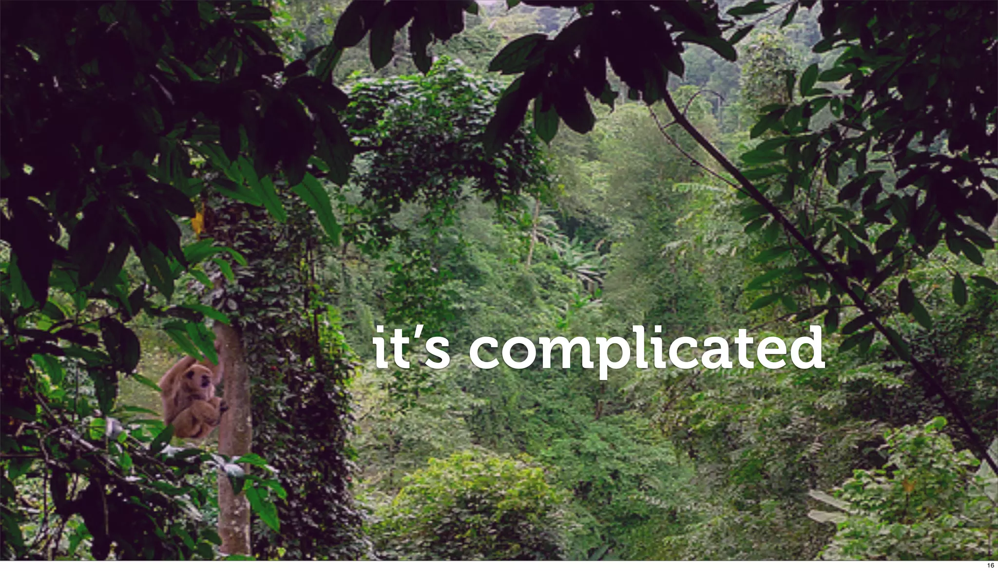 !"#$%&'()
   it’s complicated


                      16
 