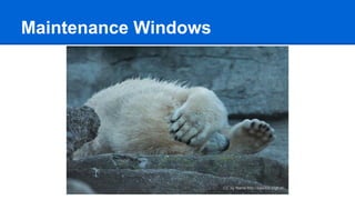 Maintenance Windows