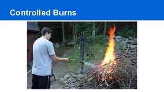 Controlled Burns