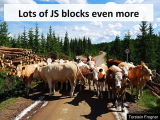 Lots of JS blocks even more Torstein Frogner 