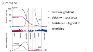 VELOCITY FLOW PRESSURE RELATIONSHIP IN CIRCULATION | PPTX