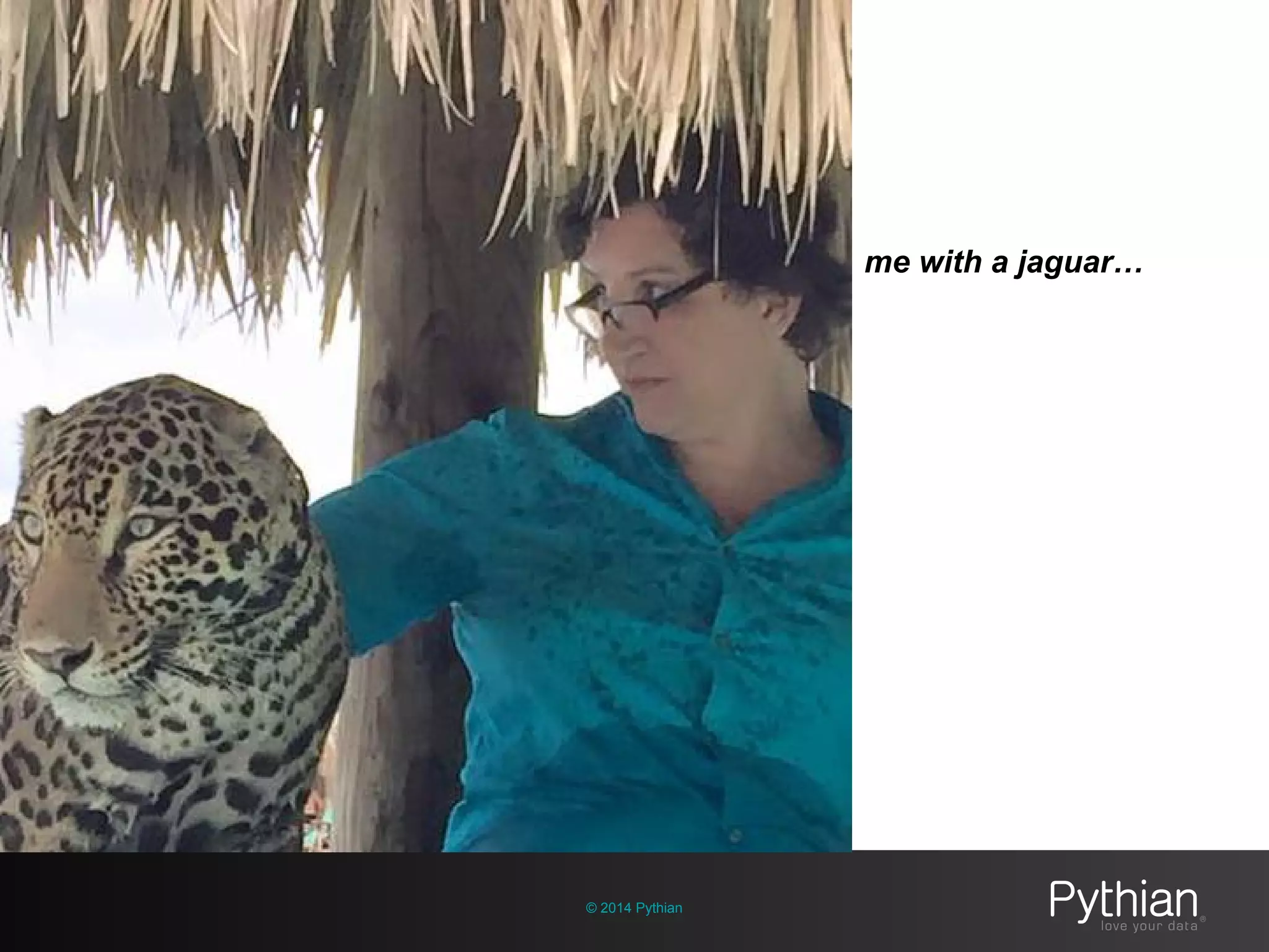 © 2014 Pythian
me with a jaguar…
 
