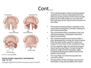 Cont...
• The Z-plasty design is determined by palatal
anatomy, the incisions extending from the
hamulus to the junction of the hard and soft
palate at the cleft margin on one side and
from the base of the uvula to the hamulus on
the other.
• The posteriorly based flap is elevated in the
nasal submucosal plane, thereby creating an
oral myomucosal flap.
• The contralateral flap is elevated in the oral
submucosal plane, creating an anteriorly
based mucosal flap.
• The anteriorly based nasal mucosal flap is
then developed by incising the nasal mucosa
from the base of the uvula to a point just
medial to the orifice of the eustachian tube.
• On the opposite side, the posteriorly based
nasal myomucosal flap is incised along the
posterior edge of the hard palate, again
completely dividing the attachment of the
levator to the bone.
• The nasal flaps are then transposed and
sutured in place.
• Transposition of the oral flaps reconstructs
the levator sling and completes the repair.
 