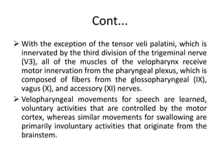Cont...
 With the exception of the tensor veli palatini, which is
innervated by the third division of the trigeminal nerve
(V3), all of the muscles of the velopharynx receive
motor innervation from the pharyngeal plexus, which is
composed of fibers from the glossopharyngeal (IX),
vagus (X), and accessory (XI) nerves.
 Velopharyngeal movements for speech are learned,
voluntary activities that are controlled by the motor
cortex, whereas similar movements for swallowing are
primarily involuntary activities that originate from the
brainstem.
 