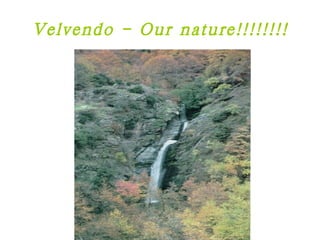 Velvendo - Our nature!!!!!!!! 