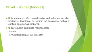 Velvet – Bolhas (bubbles)
101
 Dois caminhos são considerados redundantes se eles
iniciam e terminam no mesmo nó formando bolhas e
contém sequências similares.
 O que causam caminhos redundantes?
 Erros
 Variantes biológicas tais como SNPs
 