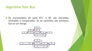 Algoritmo Tour Bus
111
 Os nucleotídeos do path B’C’ e BC são extraídos,
alinhados e comparados. Se os caminhos são similares,
faz-se um merge.
 