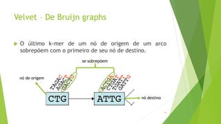 Velvet – De Bruijn graphs
 O último k-mer de um nó de origem de um arco
sobrepõem com o primeiro de seu nó de destino.
40
nó de origem
nó destino
se sobrepõem
 