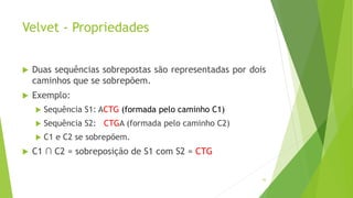 Velvet - Propriedades
 Duas sequências sobrepostas são representadas por dois
caminhos que se sobrepõem.
 Exemplo:
 Sequência S1: ACTG (formada pelo caminho C1)
 Sequência S2: CTGA (formada pelo caminho C2)
 C1 e C2 se sobrepõem.
 C1 ∩ C2 = sobreposição de S1 com S2 = CTG
43
 