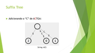 Suffix Tree
 Adicionando o “C” de ACTGA:
47
String: AC$
 