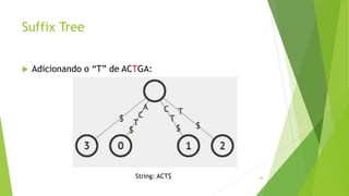 Suffix Tree
 Adicionando o “T” de ACTGA:
48String: ACT$
 