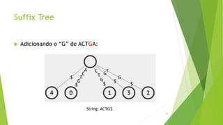Suffix Tree
 Adicionando o “G” de ACTGA:
49
String: ACTG$
 