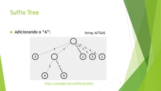 Suffix Tree
 Adicionando o “A”:
50
http://visualgo.net/suffixtree.html
String: ACTGA$
 