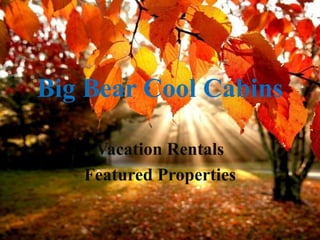 Big Bear Cool Cabins

    Vacation Rentals
   Featured Properties
 