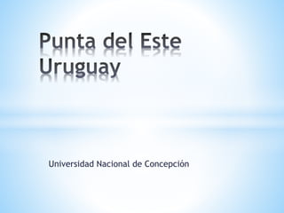 Universidad Nacional de Concepción
 