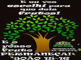 Vem - Eduardo Schenatto