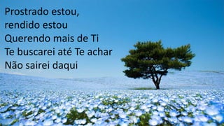 Prostrado estou,
rendido estou
Querendo mais de Ti
Te buscarei até Te achar
Não sairei daqui
 