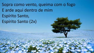 Sopra como vento, queima com o fogo
E arde aqui dentro de mim
Espírito Santo,
Espírito Santo (2x)
 