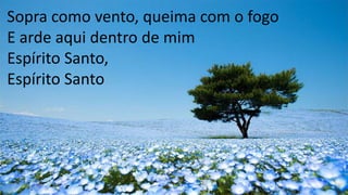Sopra como vento, queima com o fogo
E arde aqui dentro de mim
Espírito Santo,
Espírito Santo
 