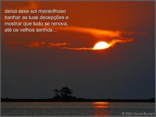 deixa esse sol maravilhoso banhar as tuas decepções e mostrar que tudo se renova, até os velhos sonhos... 