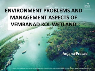 ENVIRONMENT PROBLEMS AND
MANAGEMENT ASPECTS OF
VEMBANAD KOL WETLAND
Anjana Prasad
 