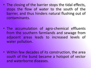 • The closing of the barrier stops the tidal effects,
stops the flow of water to the south of the
barrier, and thus hinders natural flushing out of
contaminants.
• The accumulation of agro-chemical effluents
from the southern farmlands and sewage from
adjacent areas leads to increased levels of
water pollution.
• Within few decades of its construction, the area
south of the bund became a hotspot of vector
and waterborne diseases.
 