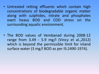 • Untreated retting effluents which contain high
concentrations of biodegradable organic matter
along with sulphides, nitrate and phosphates
exert heavy BOD and COD stress on the
surrounding aquatic environment.
• The BOD values of Vembanad during 2008-12
range from 3.49 - 5.9 mg/l (Vincy et al.,2012)
which is beyond the permissible limit for inland
surface water (3 mg/l BOD as per IS:2490-1974).
 