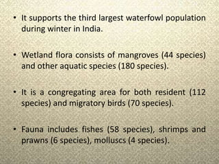 • It supports the third largest waterfowl population
during winter in India.
• Wetland flora consists of mangroves (44 species)
and other aquatic species (180 species).
• It is a congregating area for both resident (112
species) and migratory birds (70 species).
• Fauna includes fishes (58 species), shrimps and
prawns (6 species), molluscs (4 species).
 