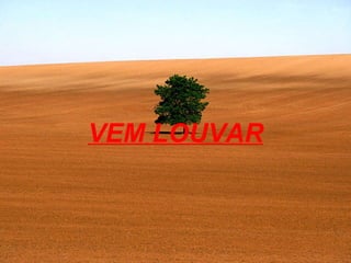 VEM LOUVAR 